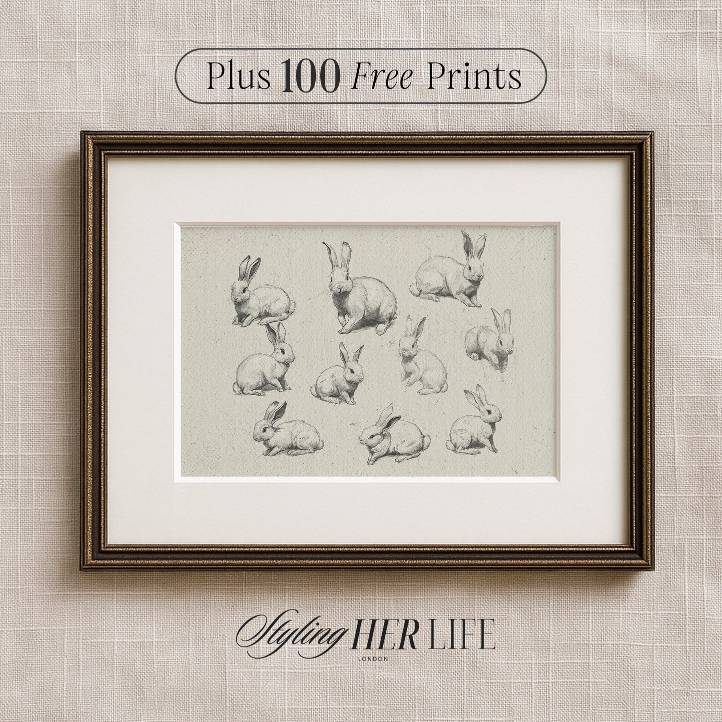 Rabbits Sketch Digital Art Print | IN059