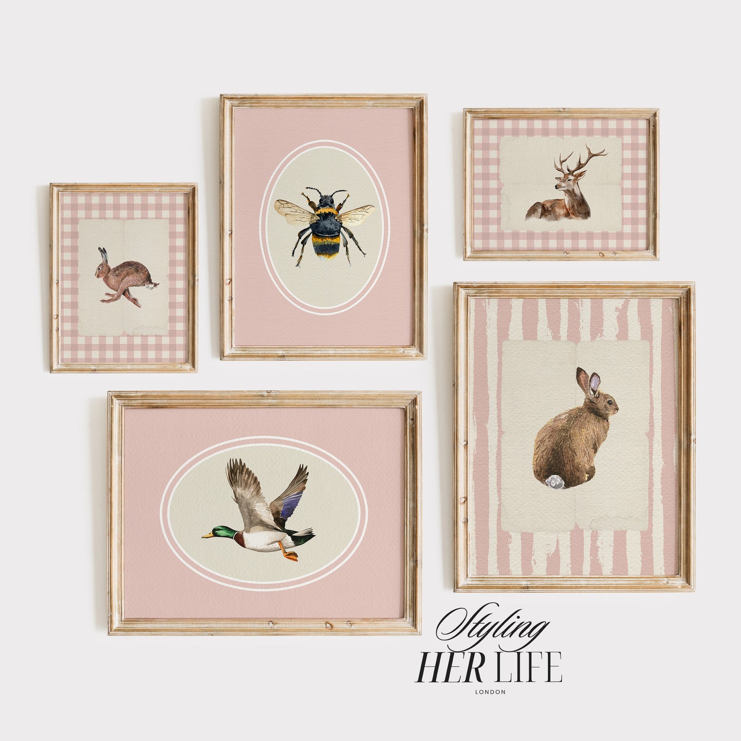 50 Vintage Animals Digital Prints | MB023