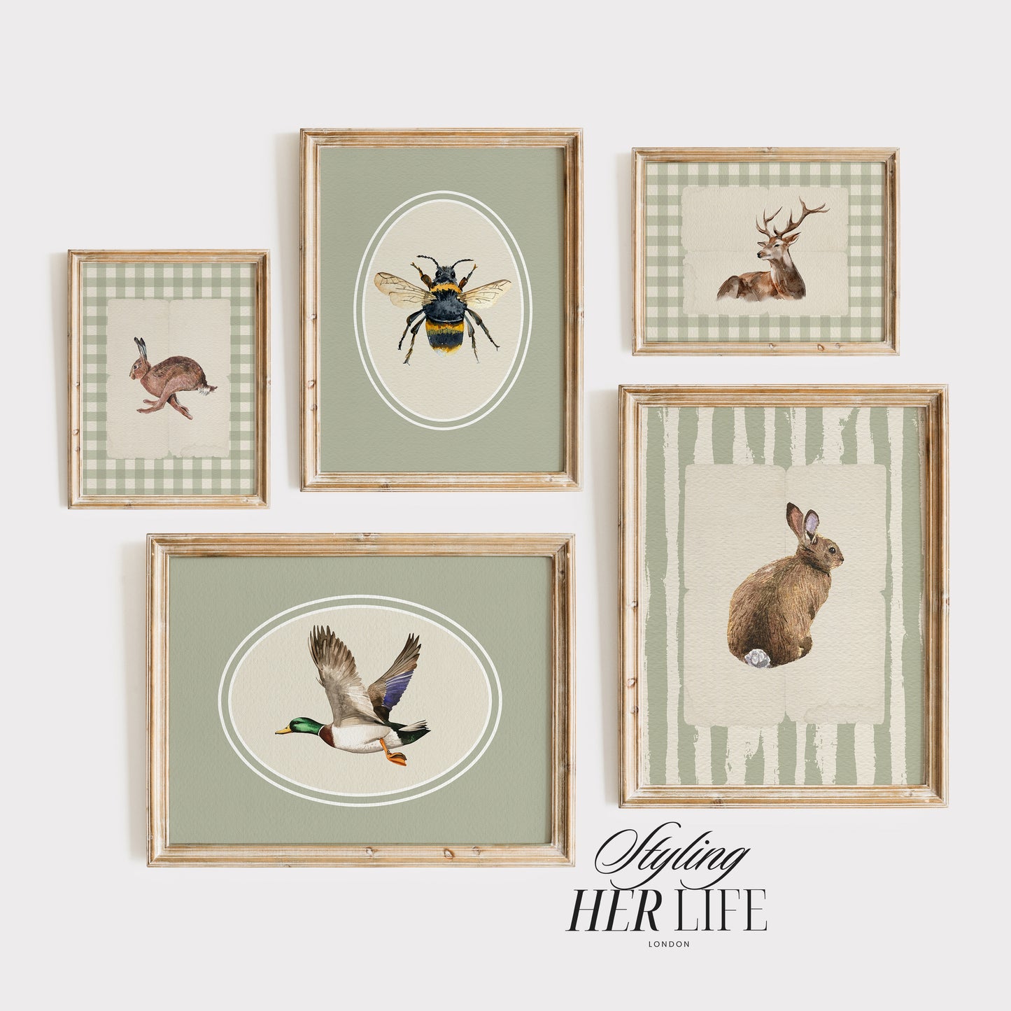 50 Vintage Animals Digital Prints | MB024