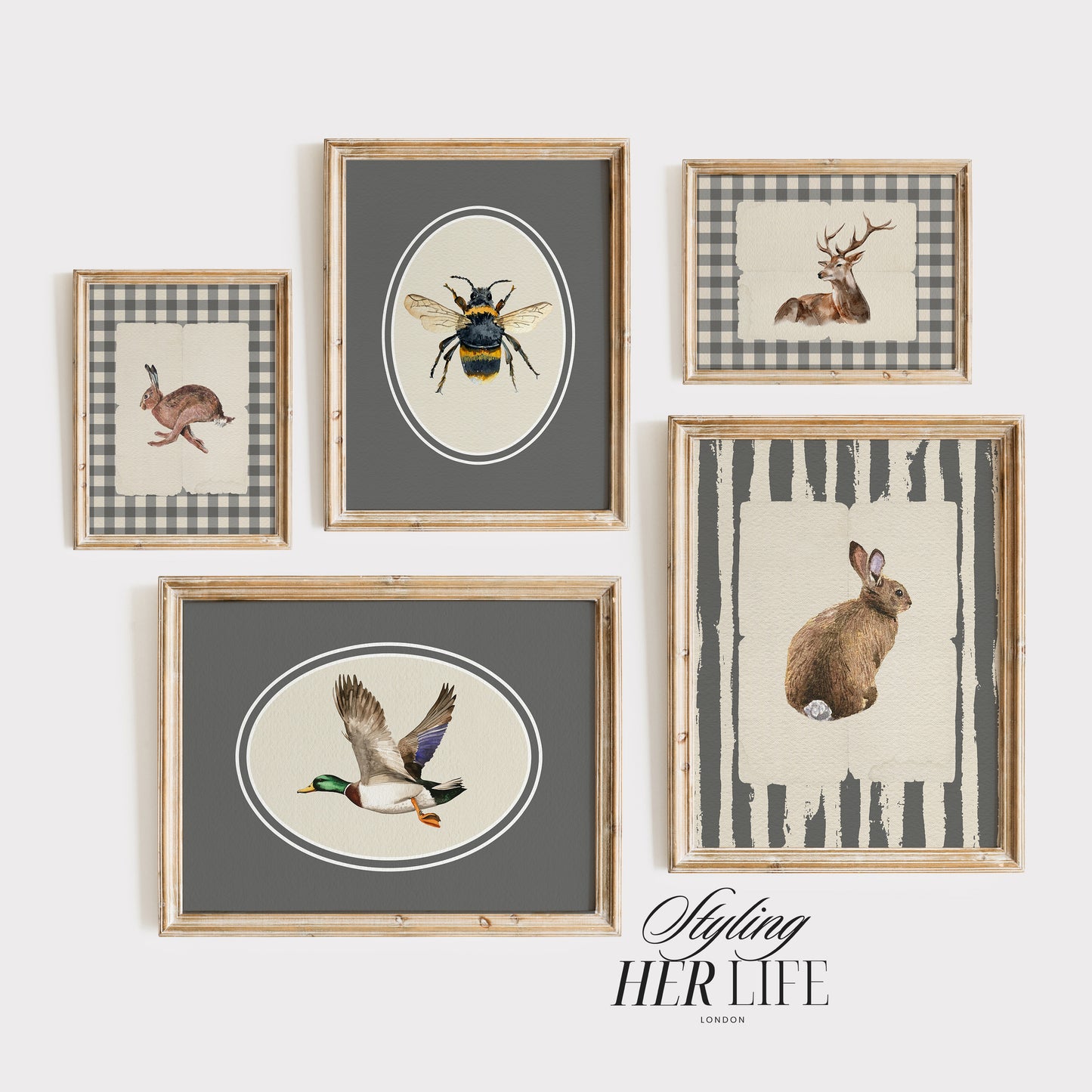 50 Vintage Animals Digital Prints | MB022