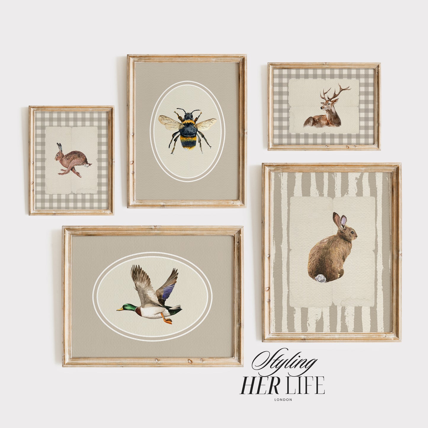 50 Vintage Animals Digital Prints | MB021