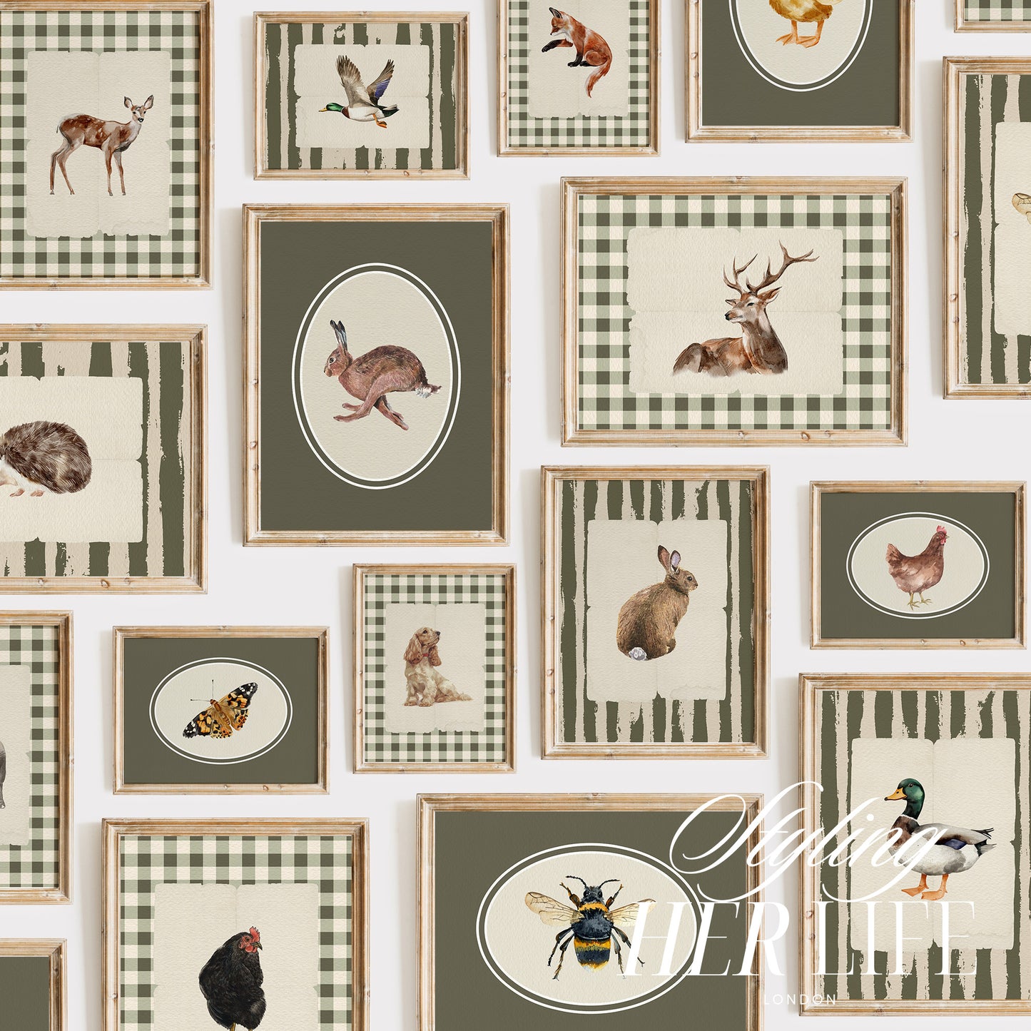 50 Vintage Animals Digital Prints | MB019