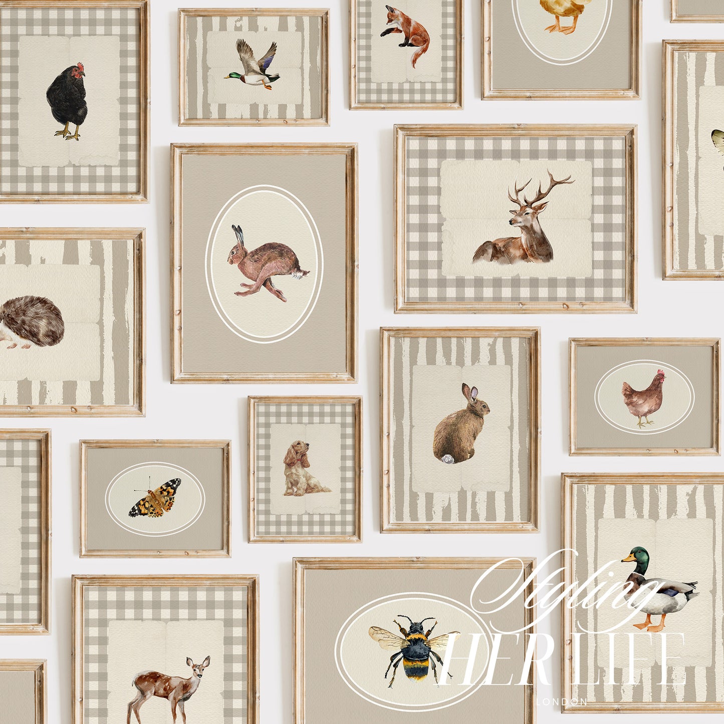 50 Vintage Animals Digital Prints | MB021