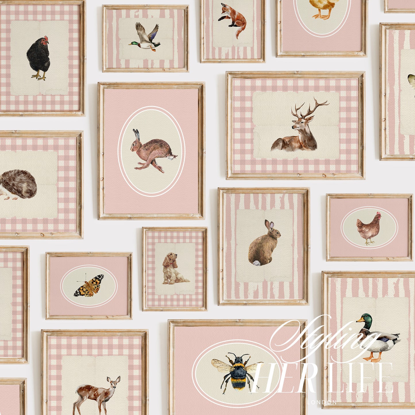 50 Vintage Animals Digital Prints | MB023