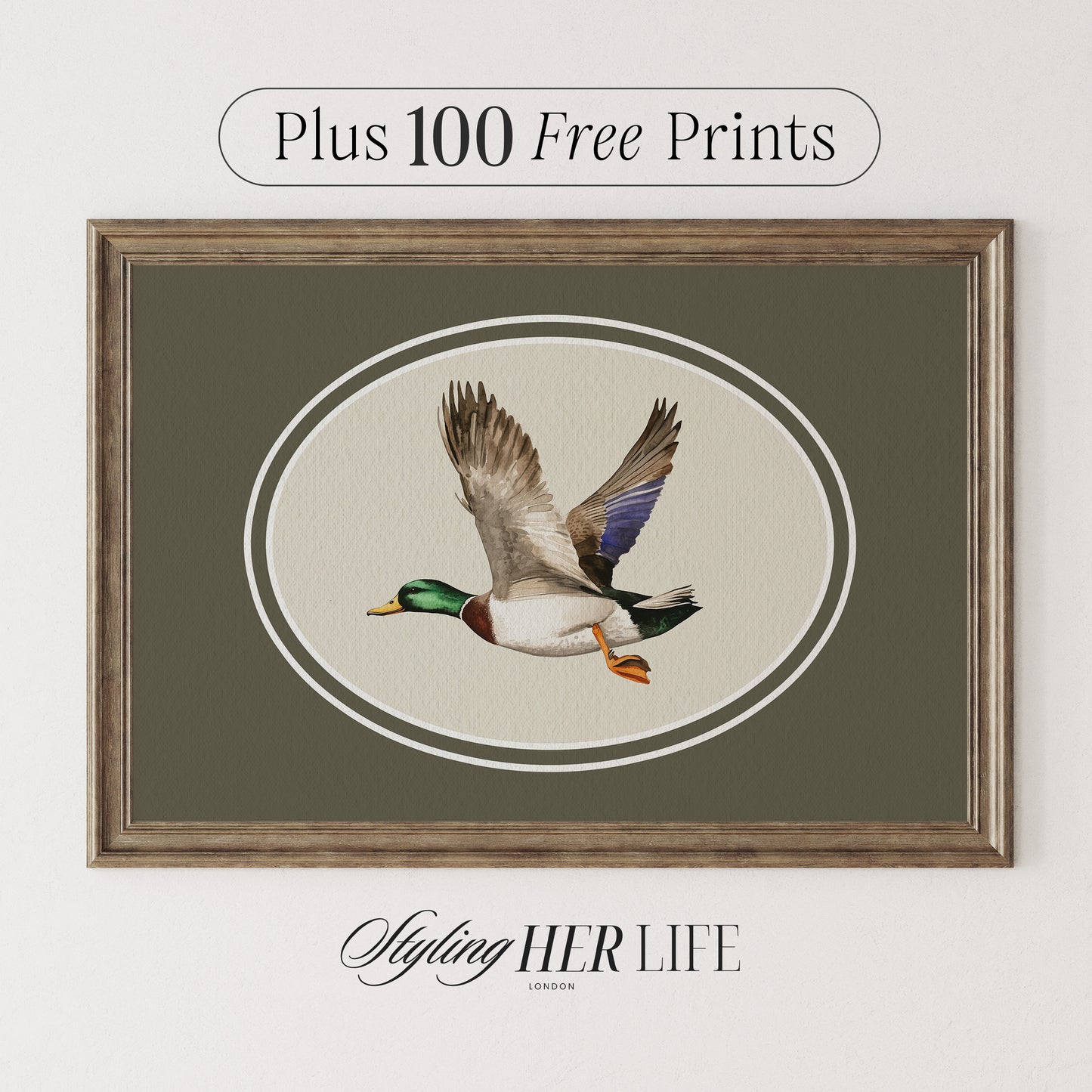 Vintage Duck Digital Art Print | IN066