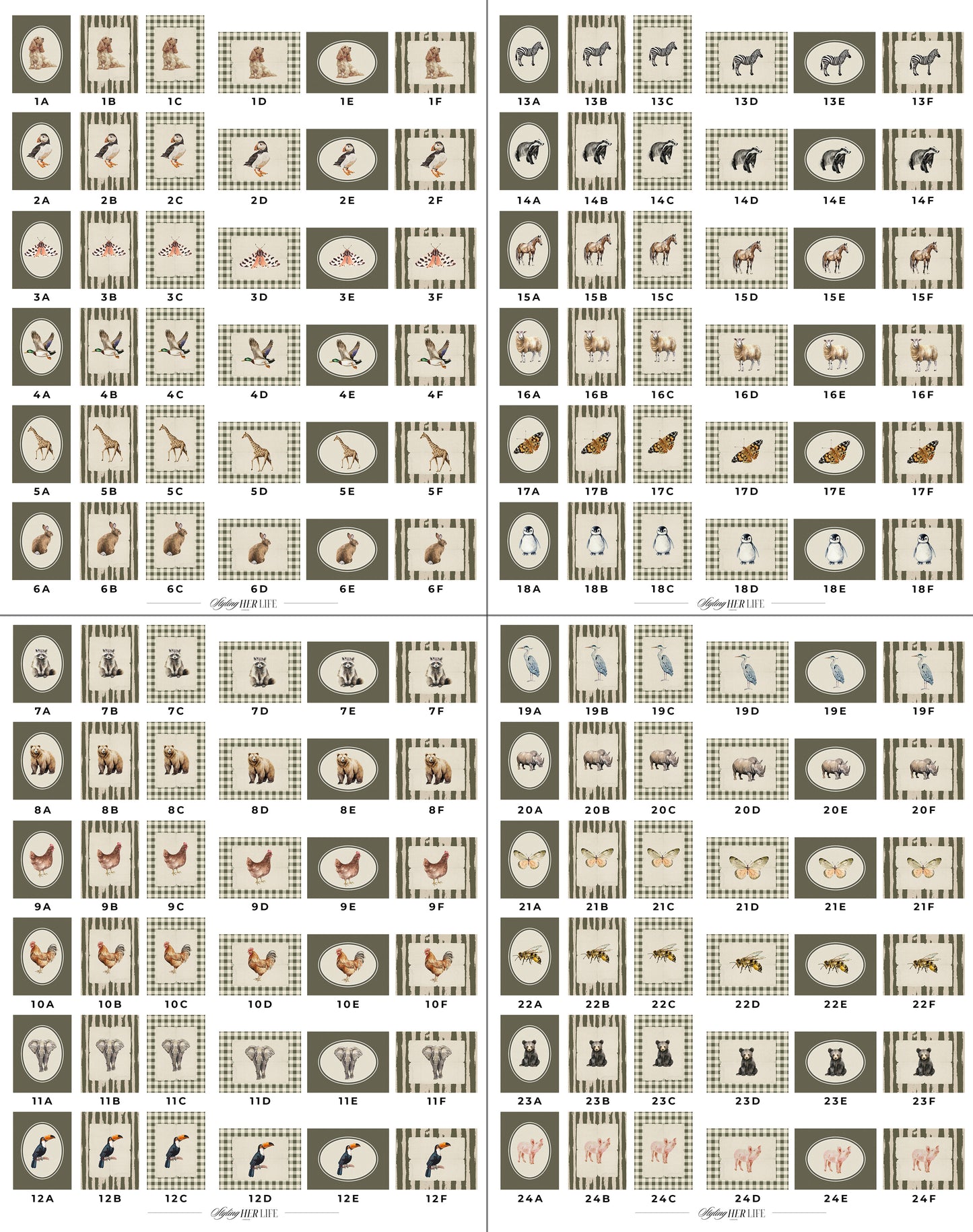 50 Vintage Animals Digital Prints | MB019