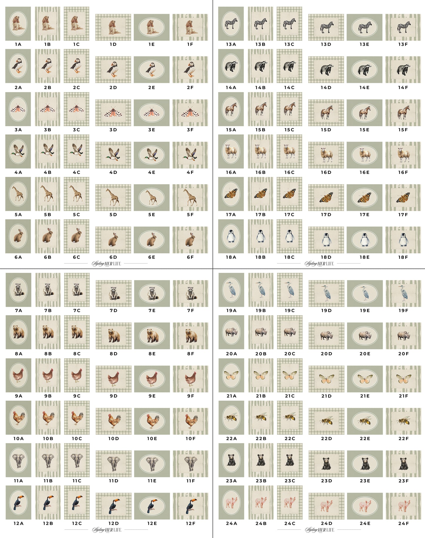 50 Vintage Animals Digital Prints | MB024
