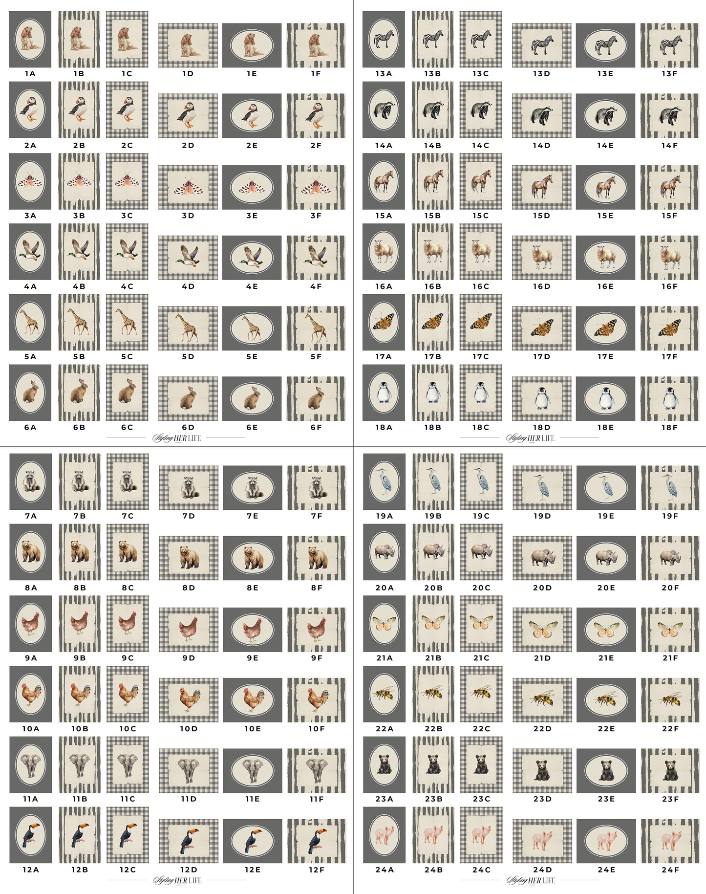 50 Vintage Animals Digital Prints | MB022