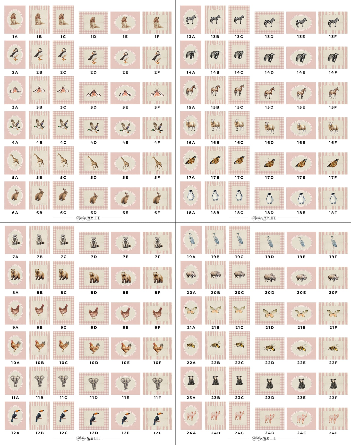 50 Vintage Animals Digital Prints | MB023