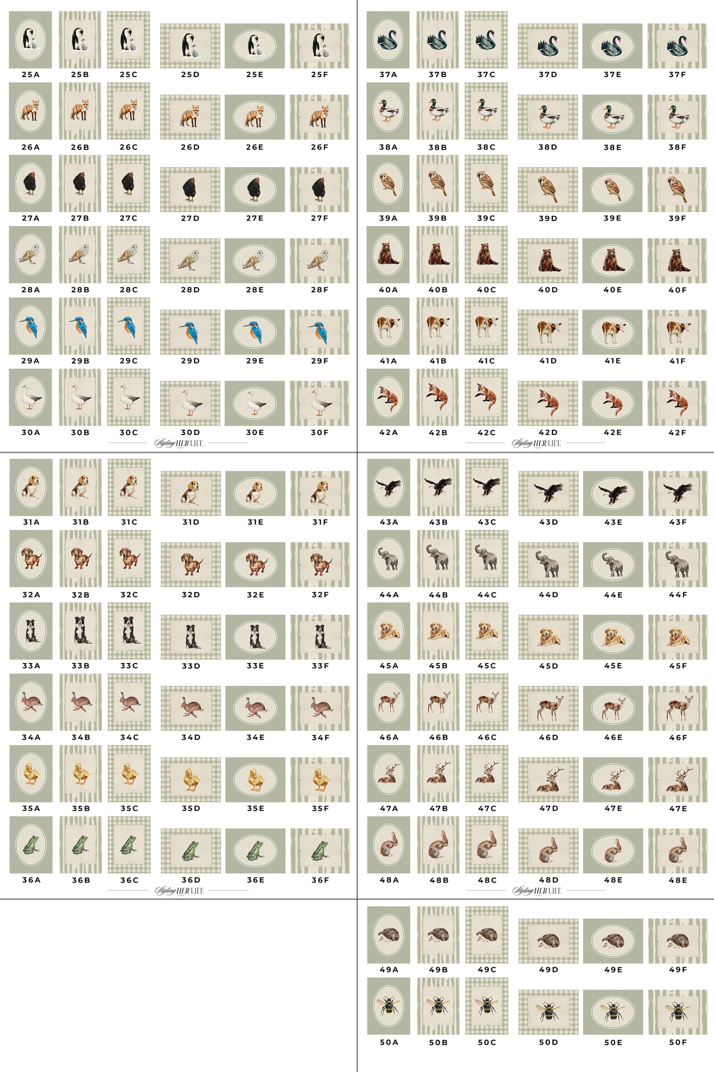 50 Vintage Animals Digital Prints | MB024