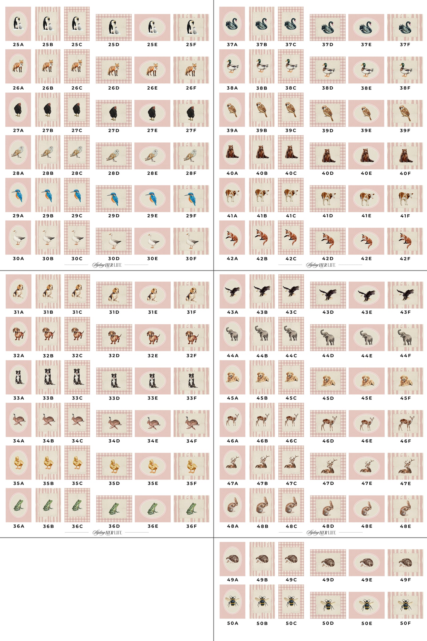 50 Vintage Animals Digital Prints | MB023