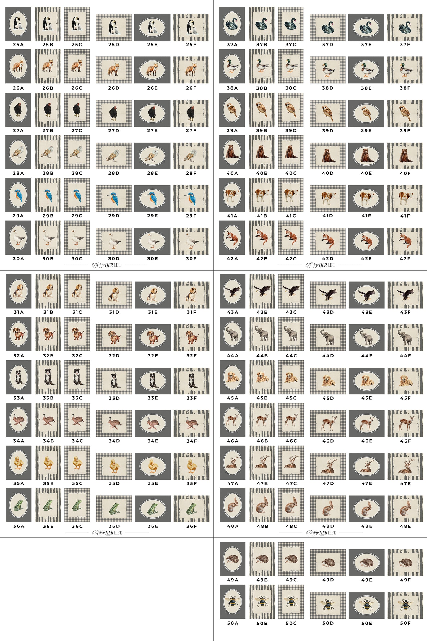 50 Vintage Animals Digital Prints | MB022