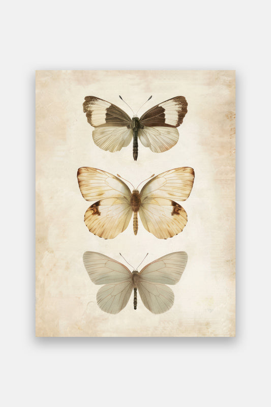 Butterflies Digital Print