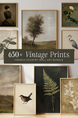 650+ Vintage Prints Bundle