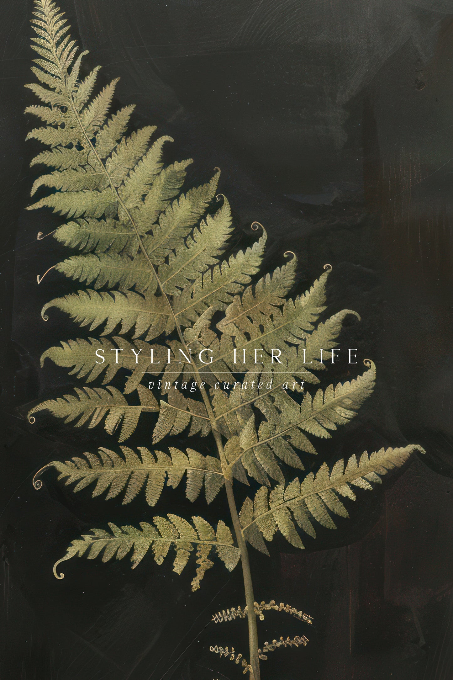 Leaf Digital Print
