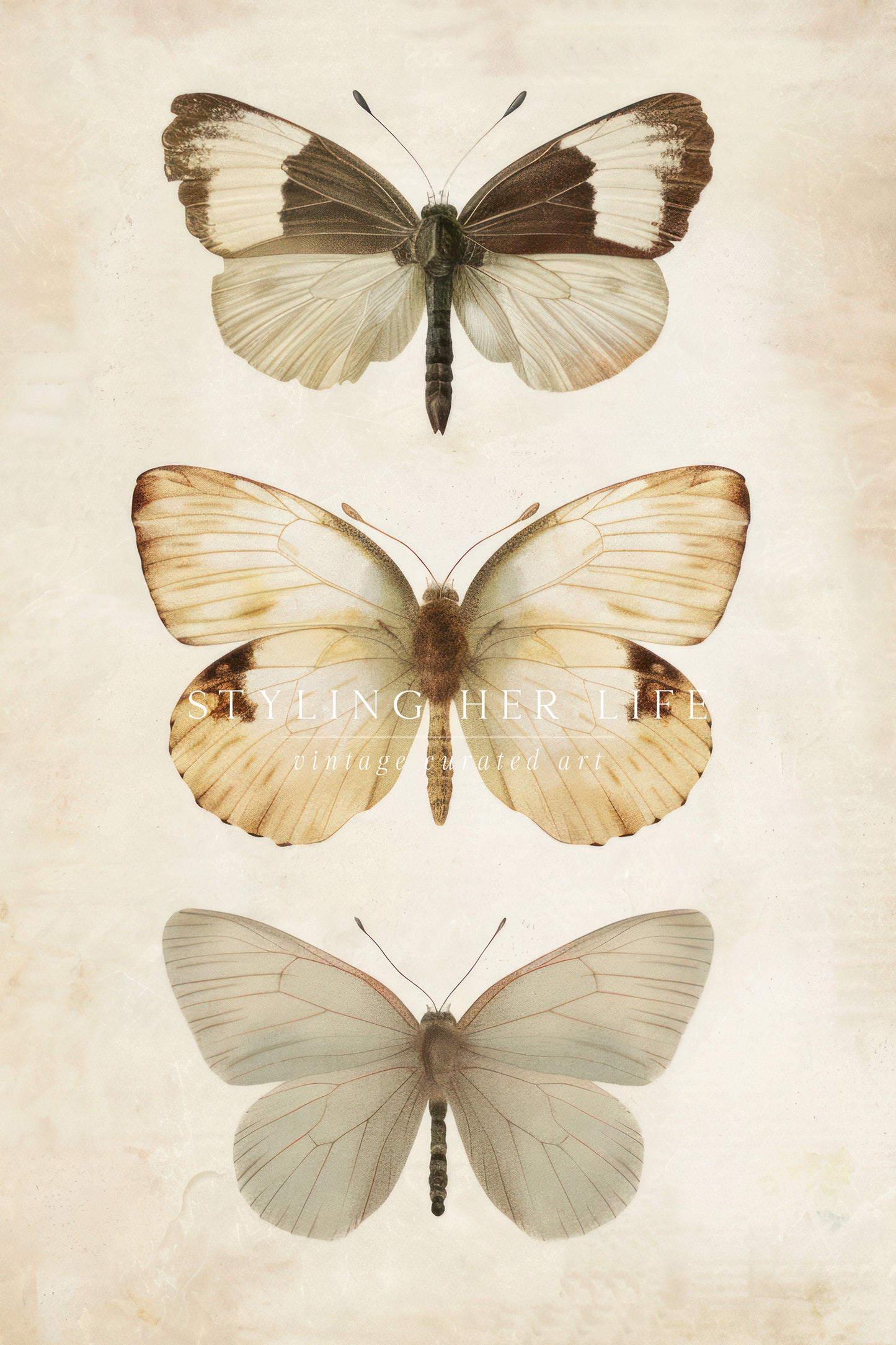 Butterflies Digital Print