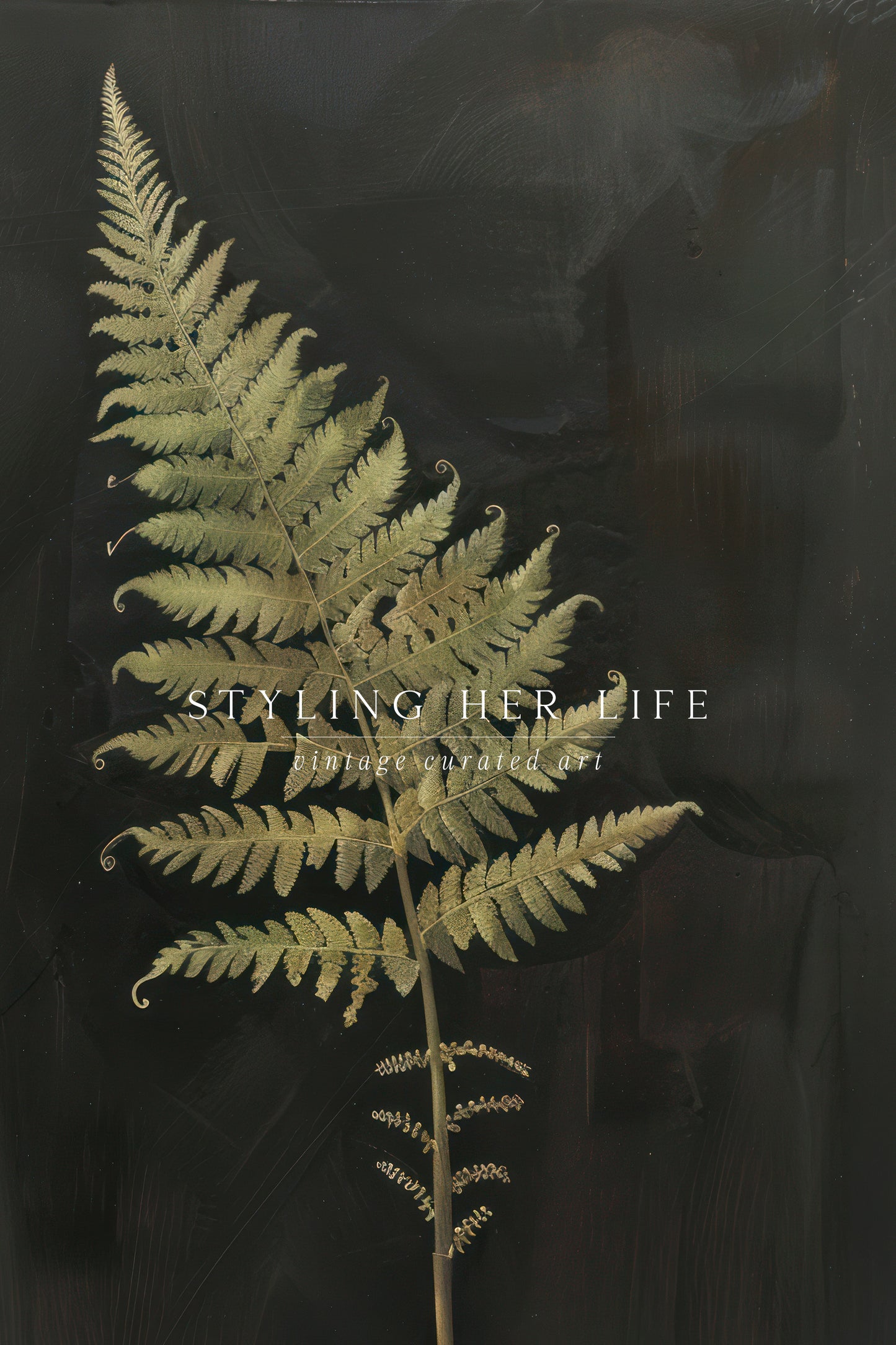 Vintage Digital Gallery Wall