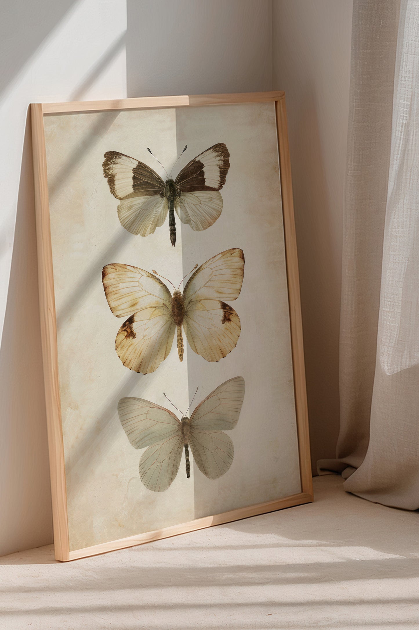 Butterflies Digital Print