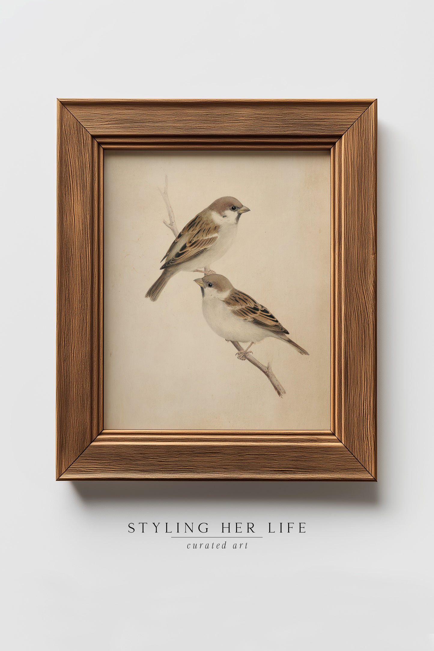 Vintage Digital Gallery Wall