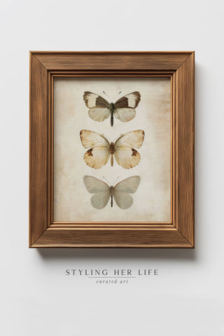 Vintage Digital Gallery Wall