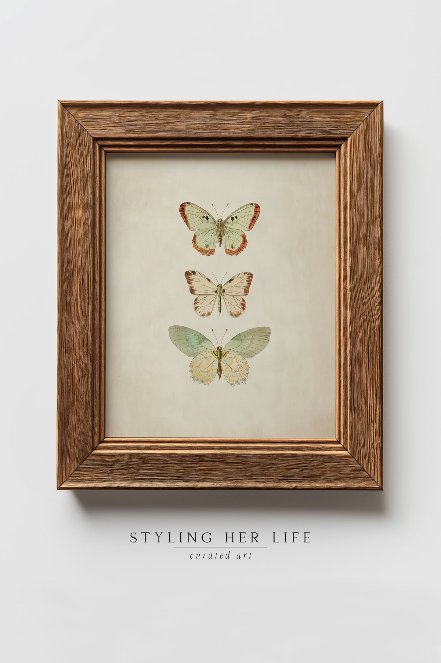 Vintage Digital Gallery Wall