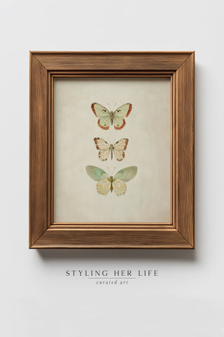 Vintage Digital Gallery Wall