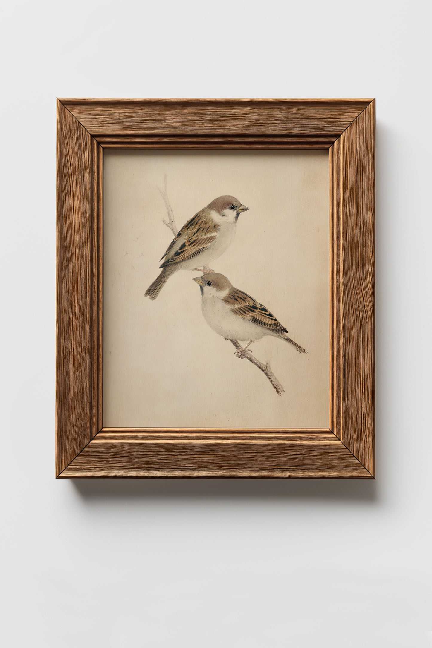 Birds Digital Print