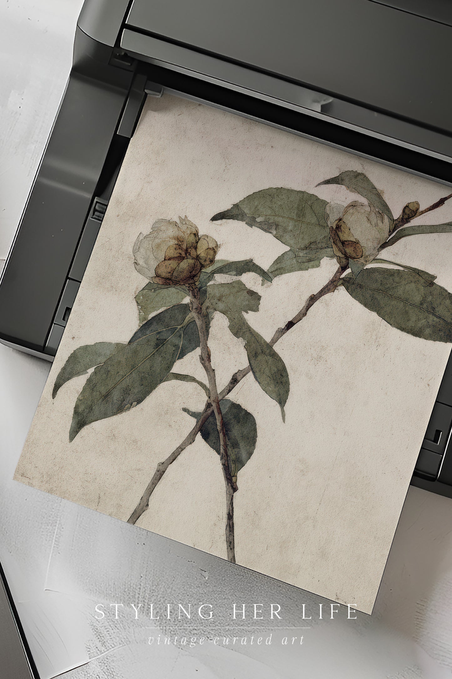 Vintage Digital Gallery Wall