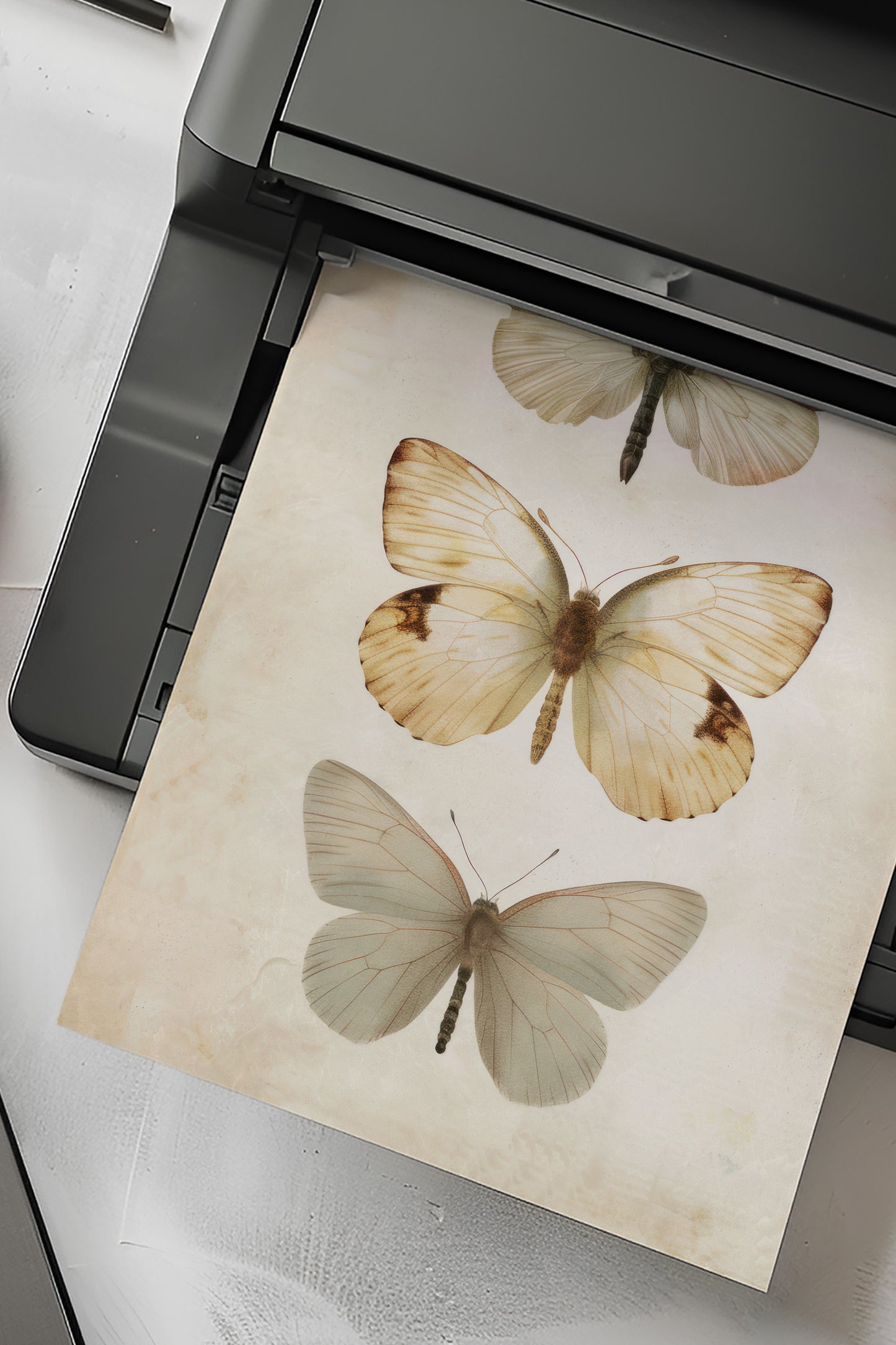 Butterflies Digital Print