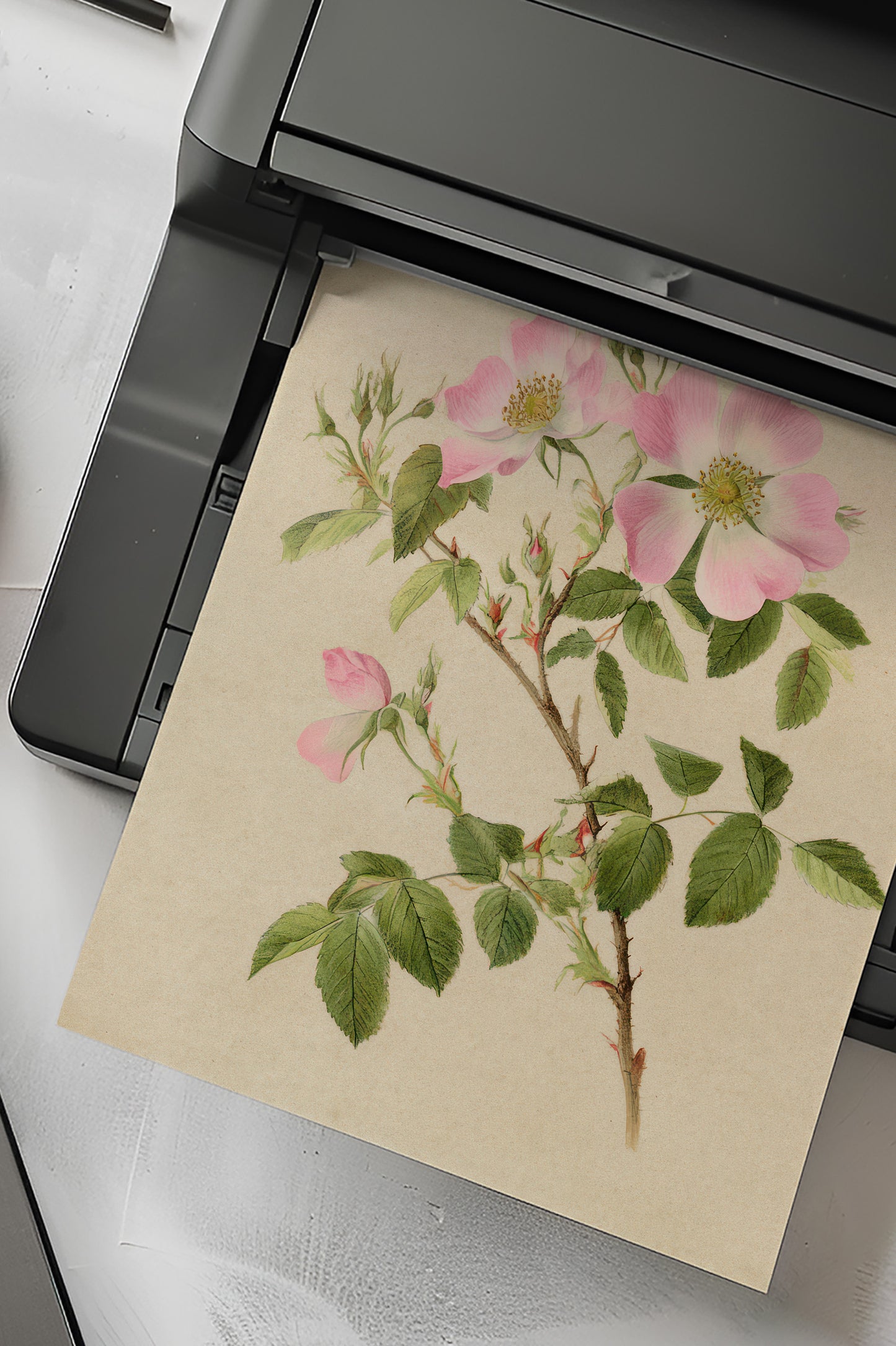 Vintage Digital Gallery Wall