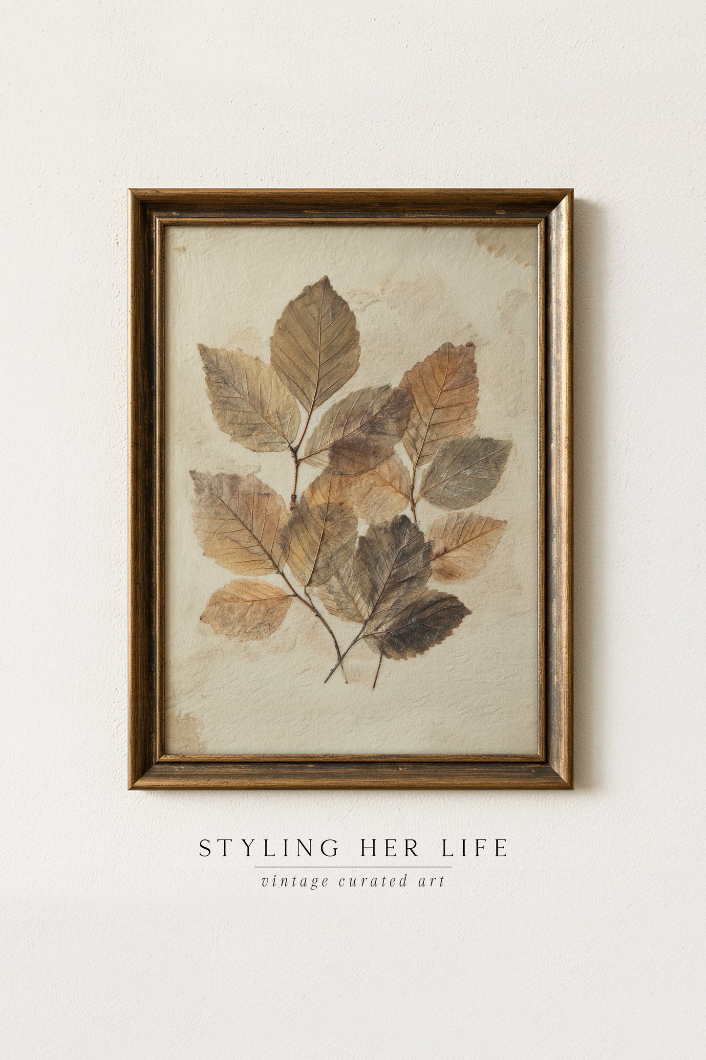 Vintage Digital Gallery Wall