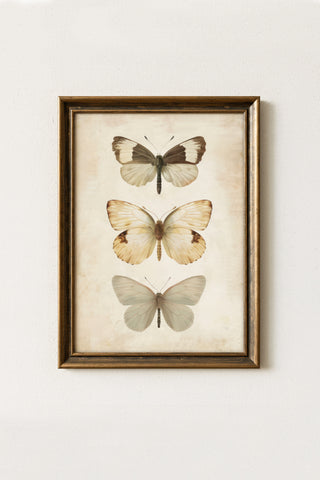 Vintage Digital Gallery Wall