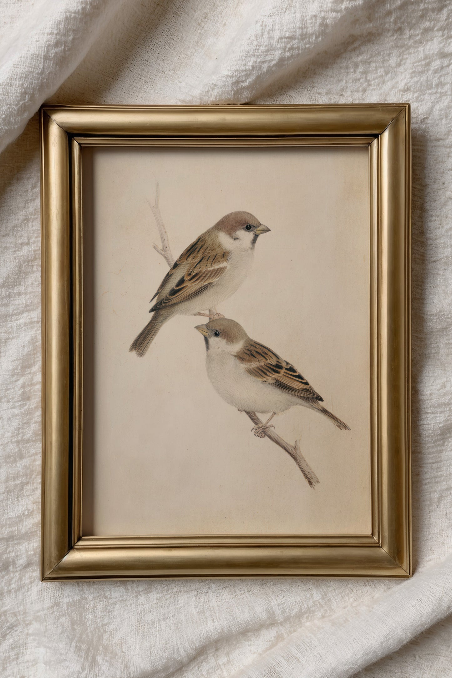 Birds Digital Print