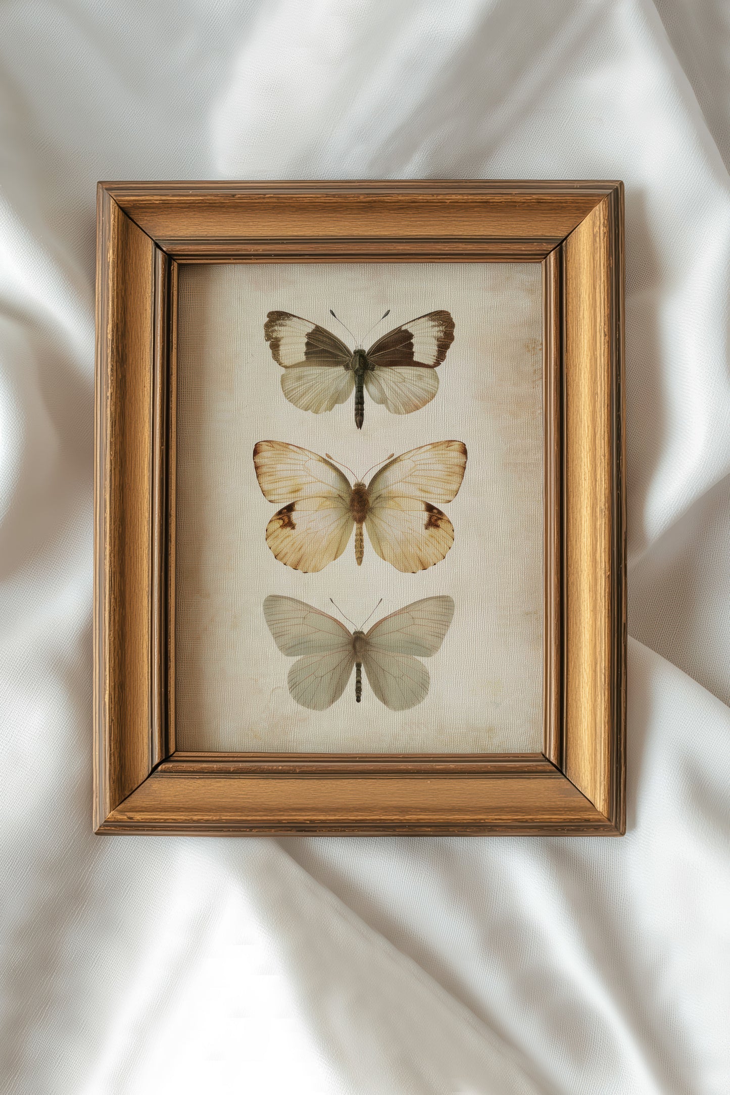 Butterflies Digital Print
