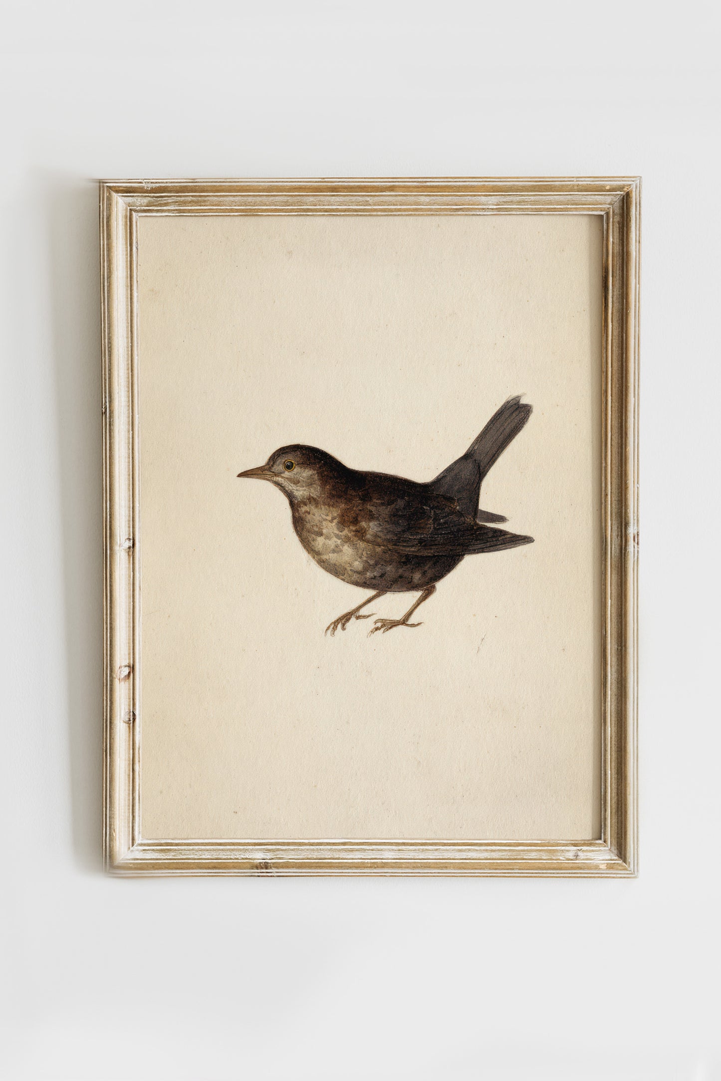 Vintage Digital Gallery Wall