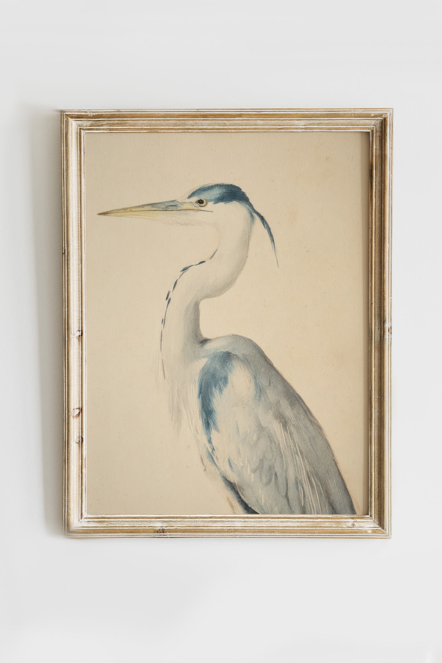 Vintage Digital Gallery Wall