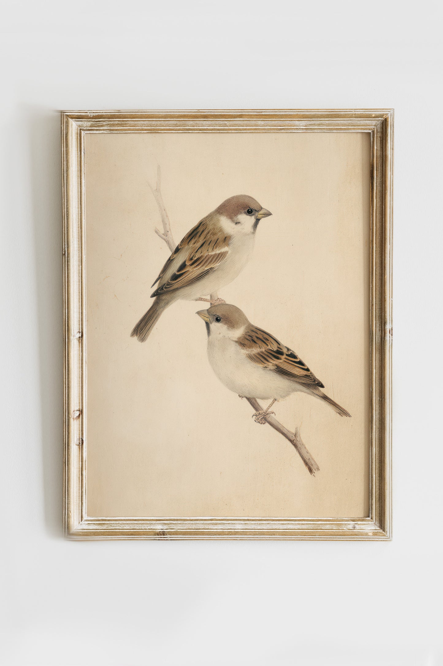 Birds Digital Print