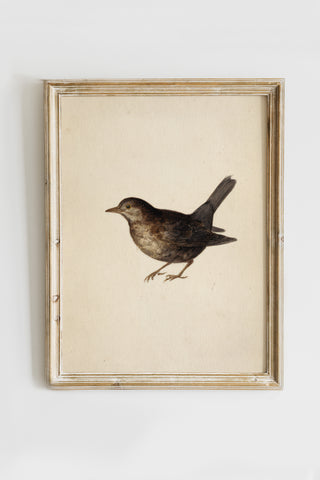 Vintage Digital Gallery Wall