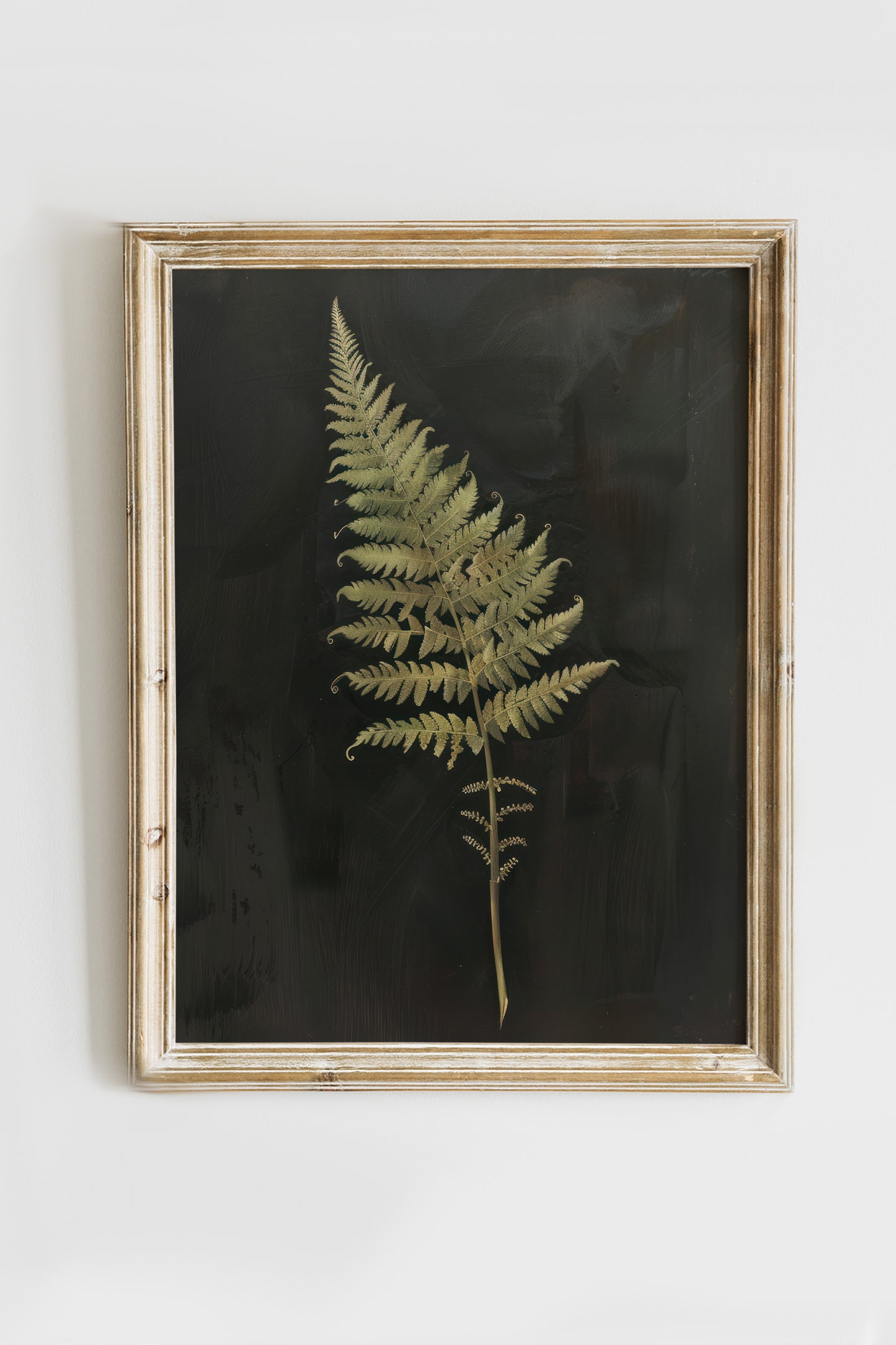 Leaf Digital Print