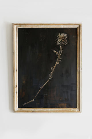 Vintage Digital Gallery Wall