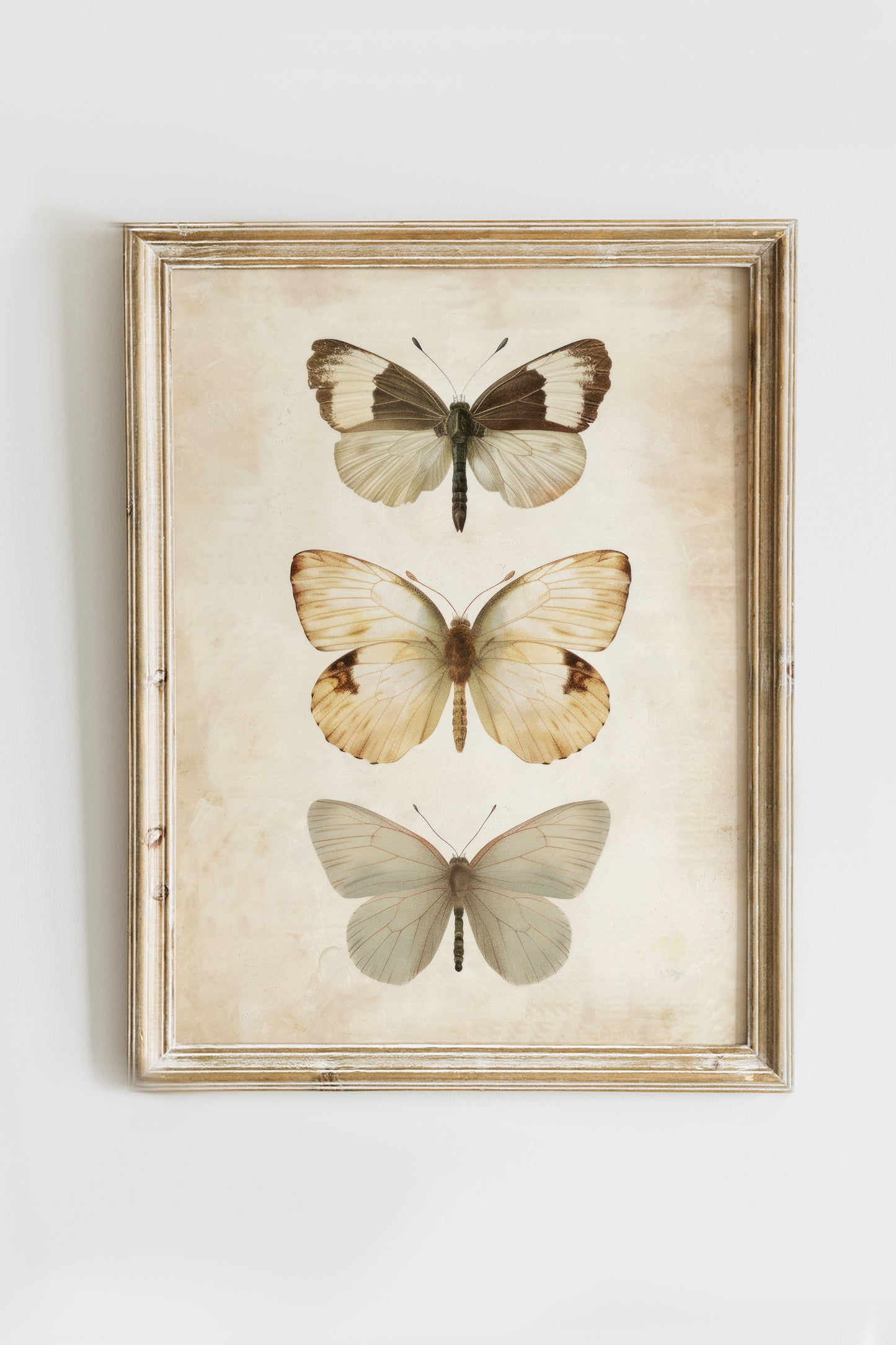 Butterflies Digital Print