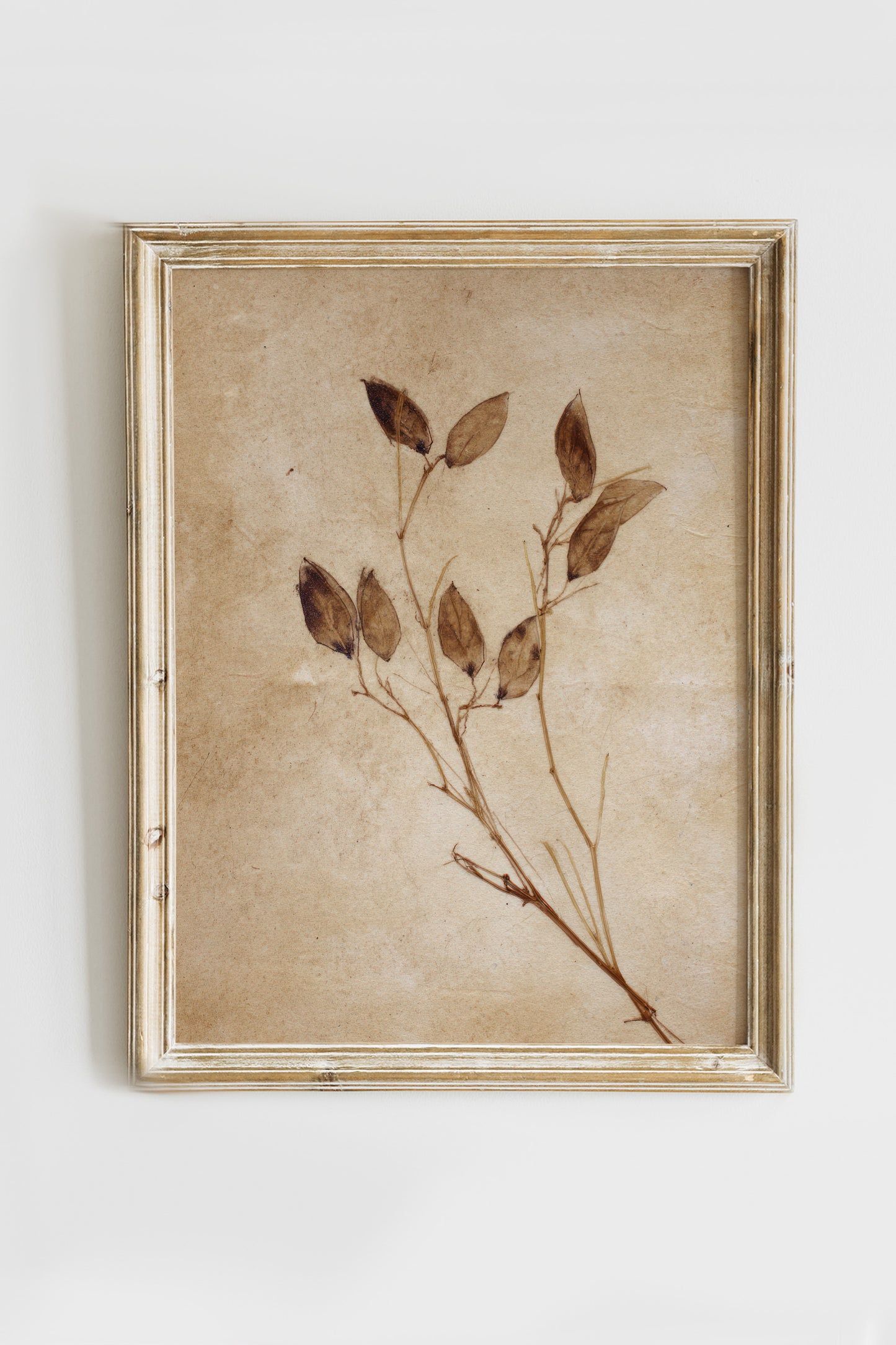 Vintage Digital Gallery Wall