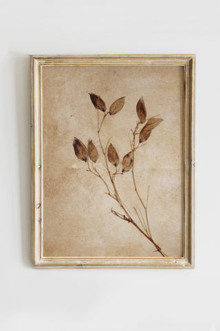 Vintage Digital Gallery Wall