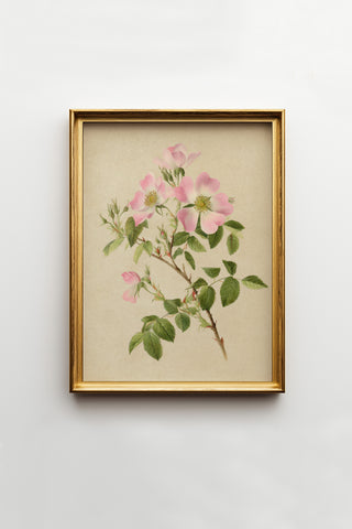 Vintage Digital Gallery Wall