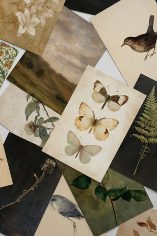 650+ Vintage Prints Bundle