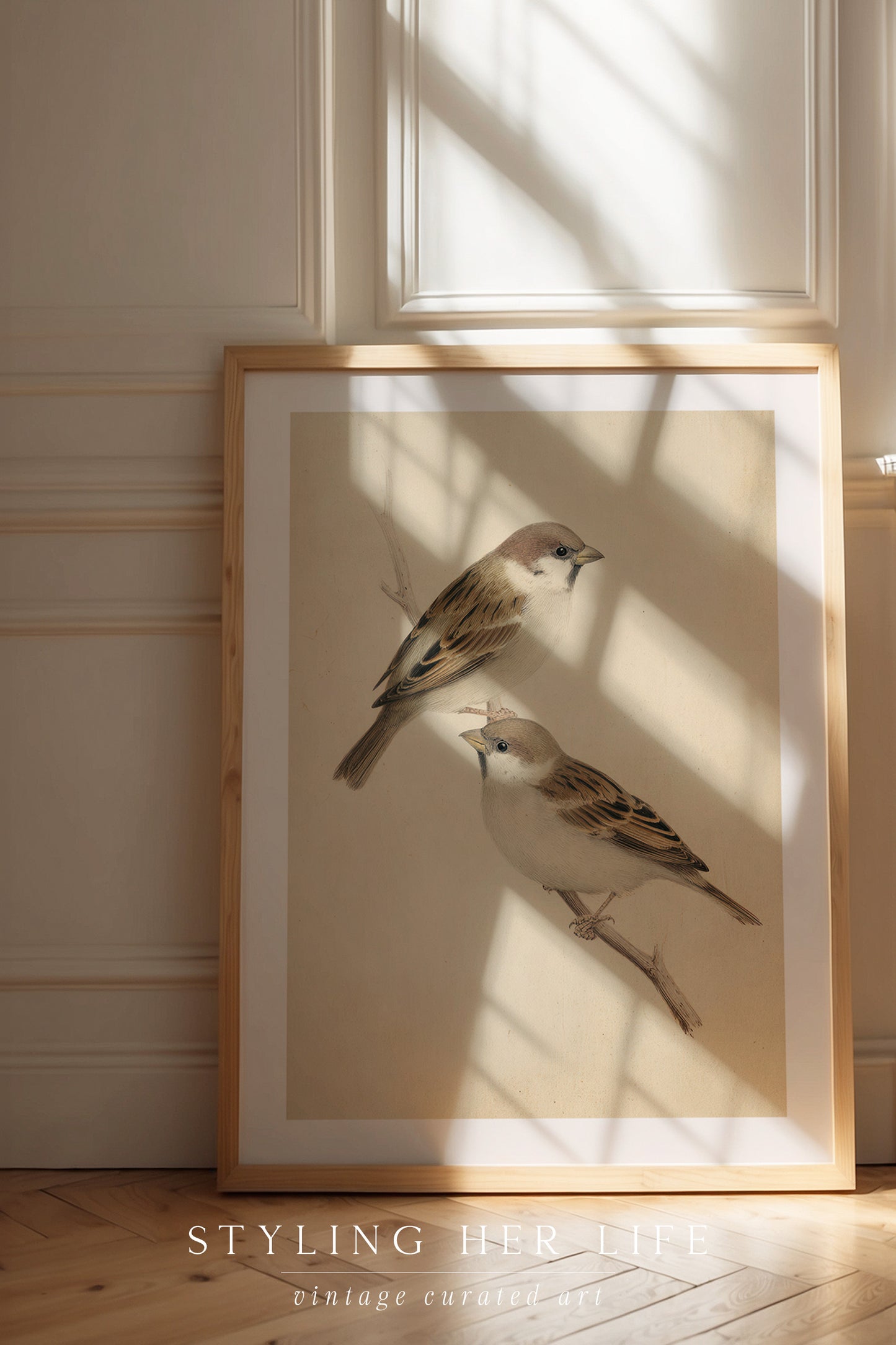Birds Digital Print