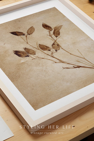 Vintage Digital Gallery Wall