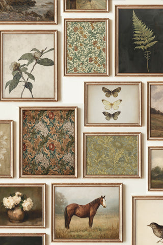 650+ Vintage Prints Bundle