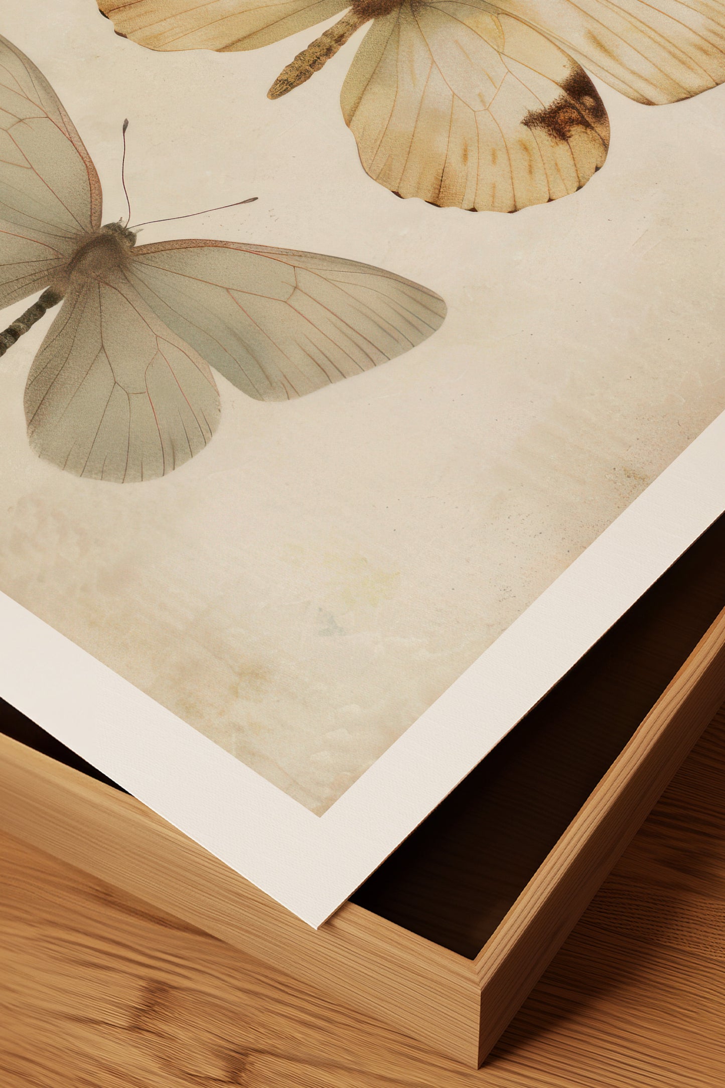 Butterflies Digital Print