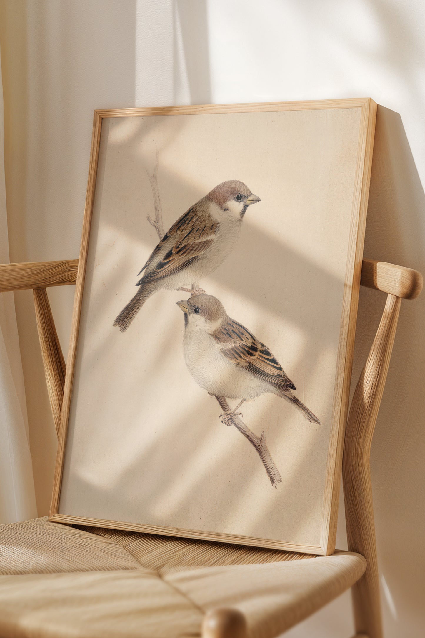 Birds Digital Print